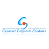 Cynosure Corporate Solutions India Jobs Expertini
